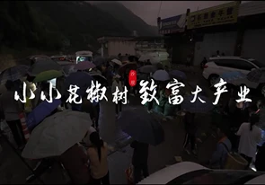 小小花椒樹，致富大產業